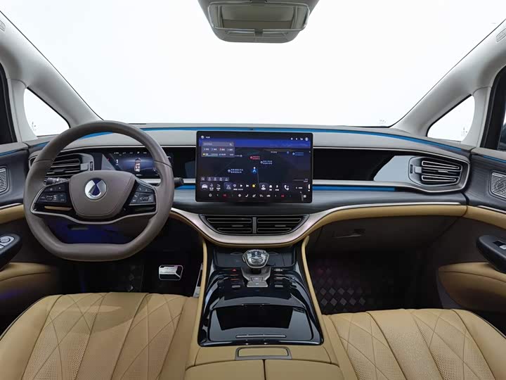 Фото 5 - Denza D9