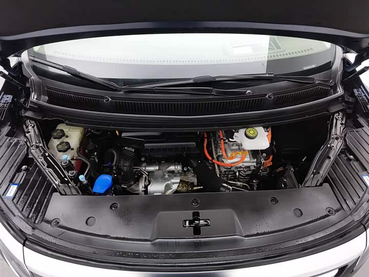 Фото 6 - Denza D9