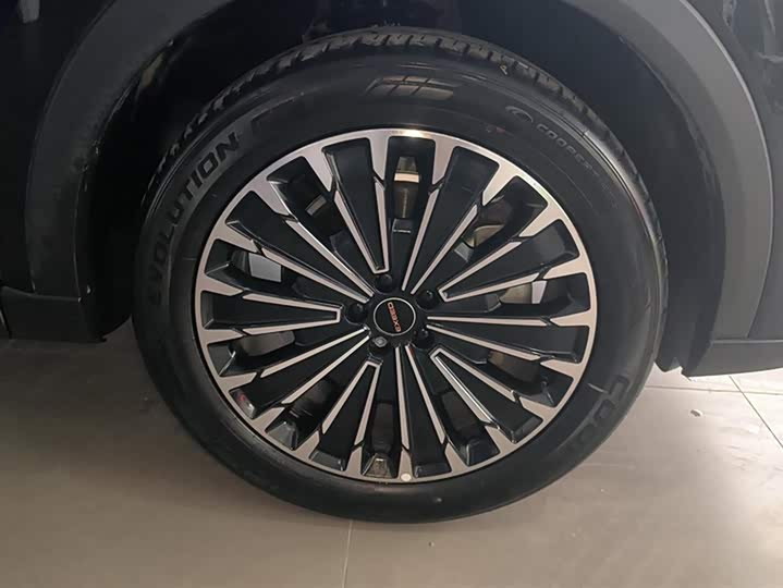 Фото 6 - Exeed RX C-DM Hybrid