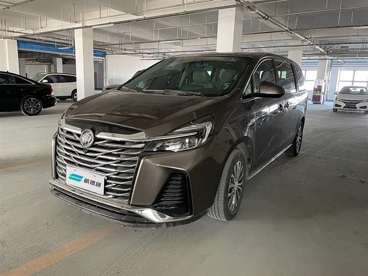 Фото 1 - Buick GL8 ES