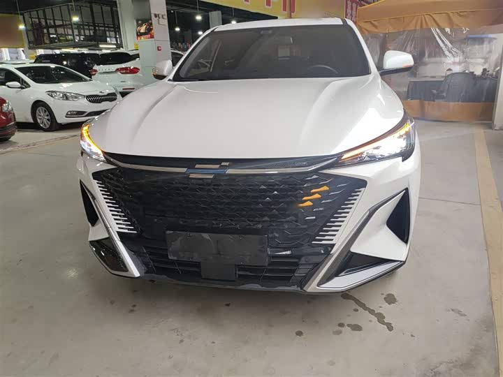 Фото 3 - Changan Oshan X5 Plus