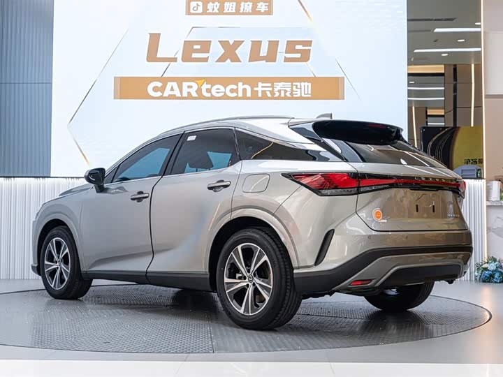 Фото 4 - Lexus RX