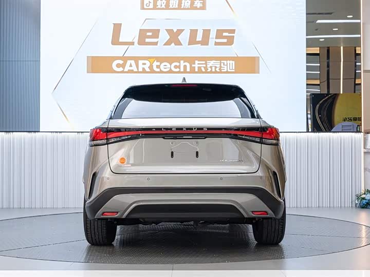 Фото 5 - Lexus RX