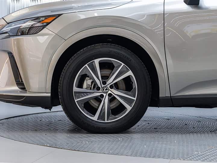 Фото 8 - Lexus RX