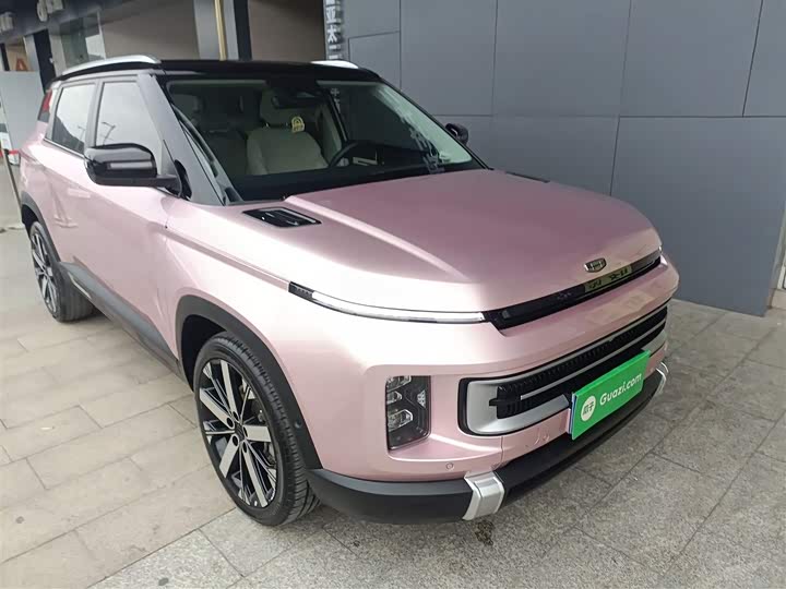 Фото 4 - Geely Icon