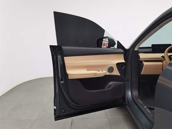 Фото 8 - Exeed Sterra ET