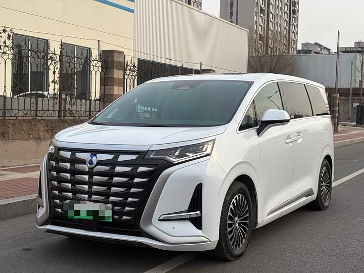 Фото 1 - Denza D9