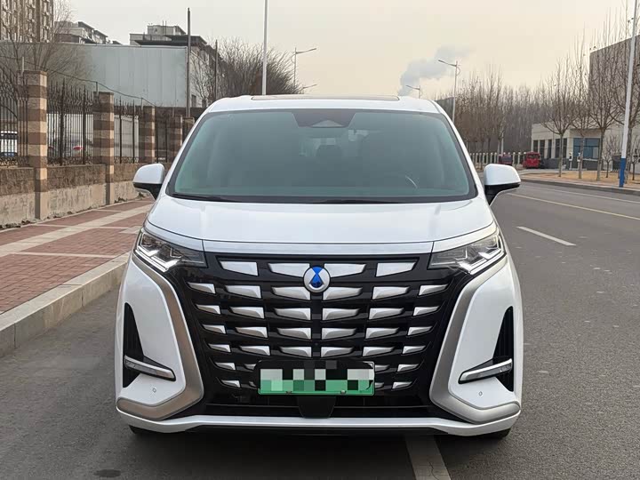 Фото 2 - Denza D9