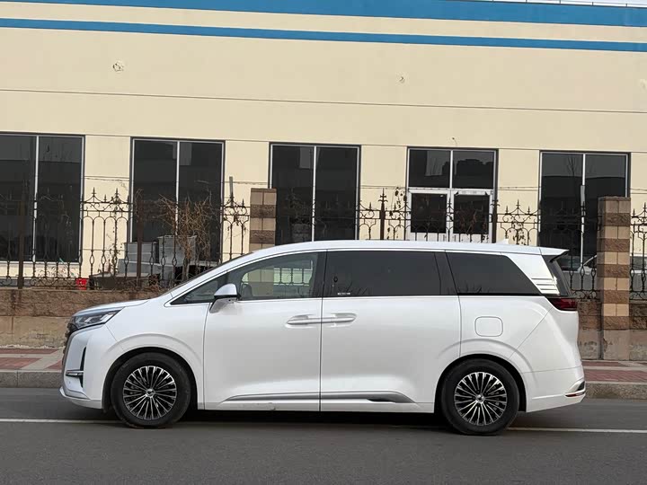 Фото 5 - Denza D9