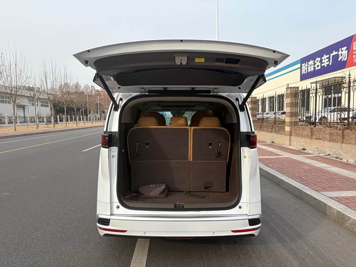 Фото 6 - Denza D9