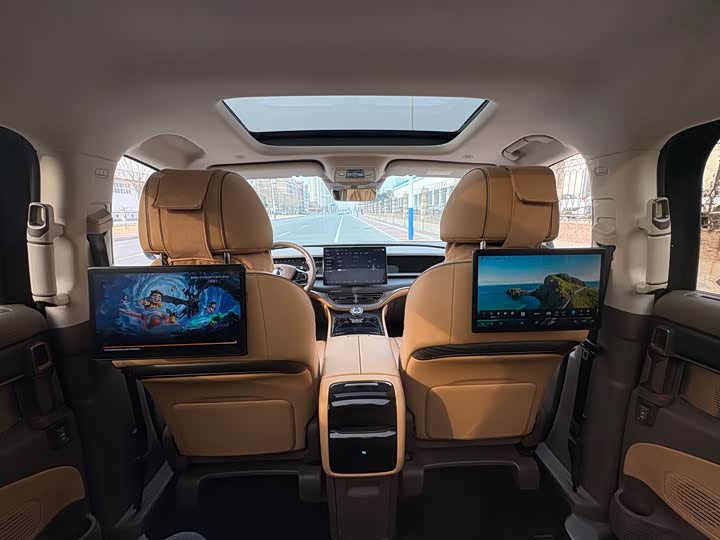 Фото 8 - Denza D9