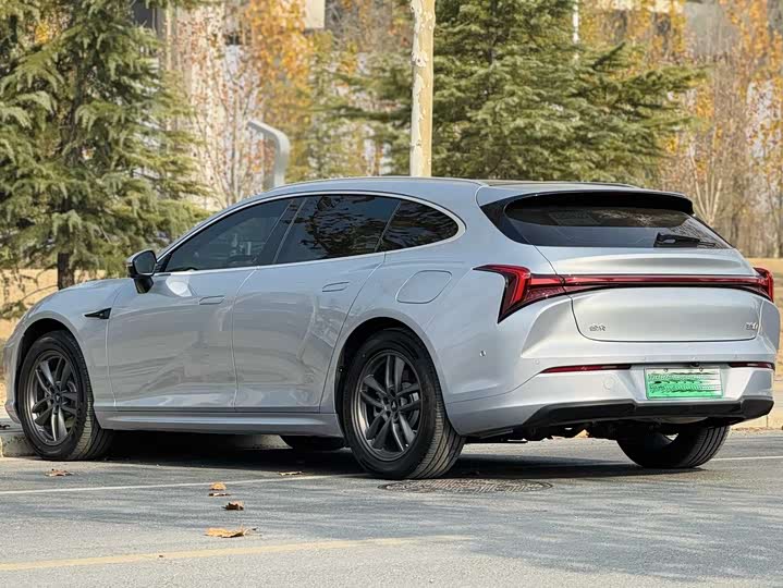 Фото 9 - Hozon S Hunting