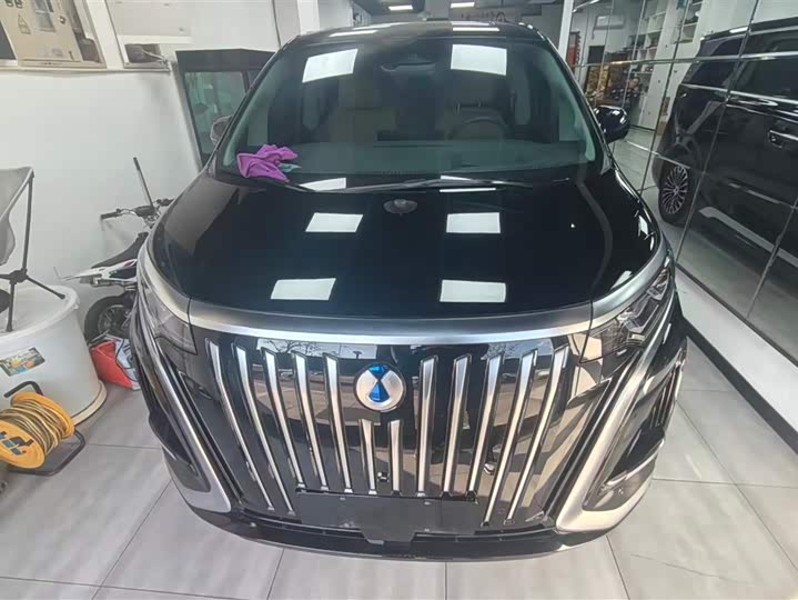 Фото 2 - Denza D9