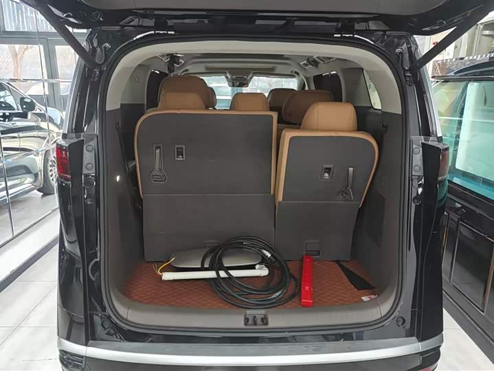 Фото 4 - Denza D9