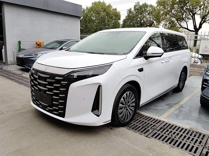 Фото 2 - BYD Xia