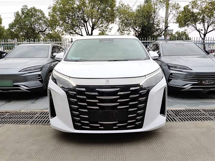 Фото 3 - BYD Xia