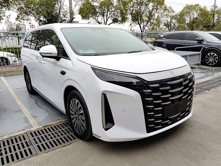 Фото 4 - BYD Xia