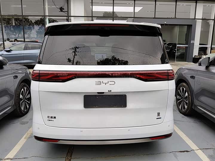 Фото 8 - BYD Xia