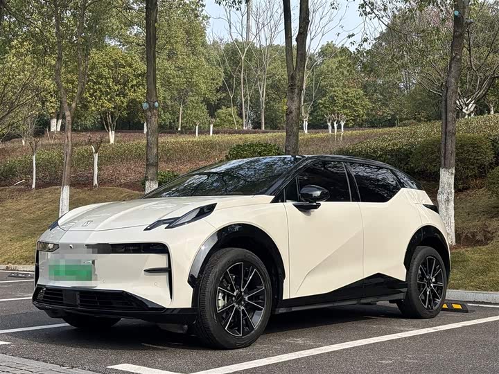 Фото 1 - Zeekr X