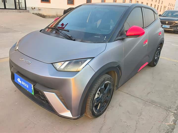 Фото 1 - BYD Seagull