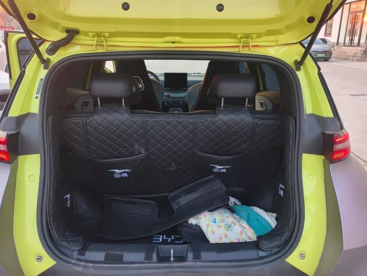 Фото 4 - BYD Seagull