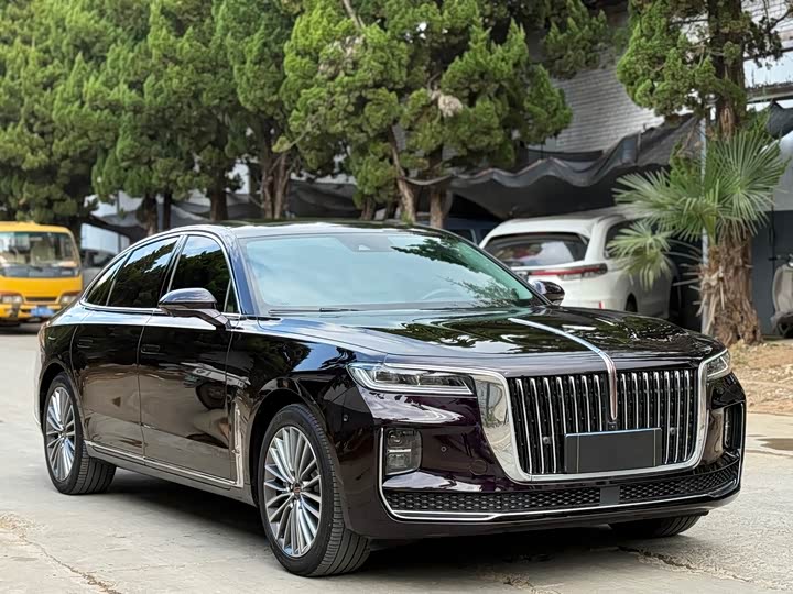 Фото 3 - Hongqi H9