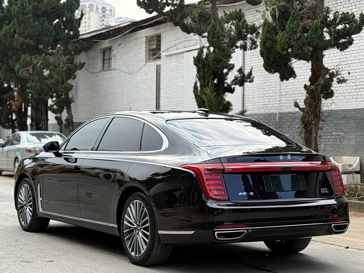 Фото 7 - Hongqi H9