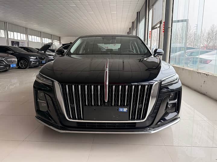 Фото 2 - Hongqi H5