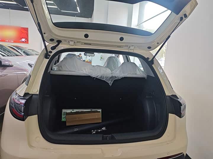 Фото 9 - Geely Galaxy Geome