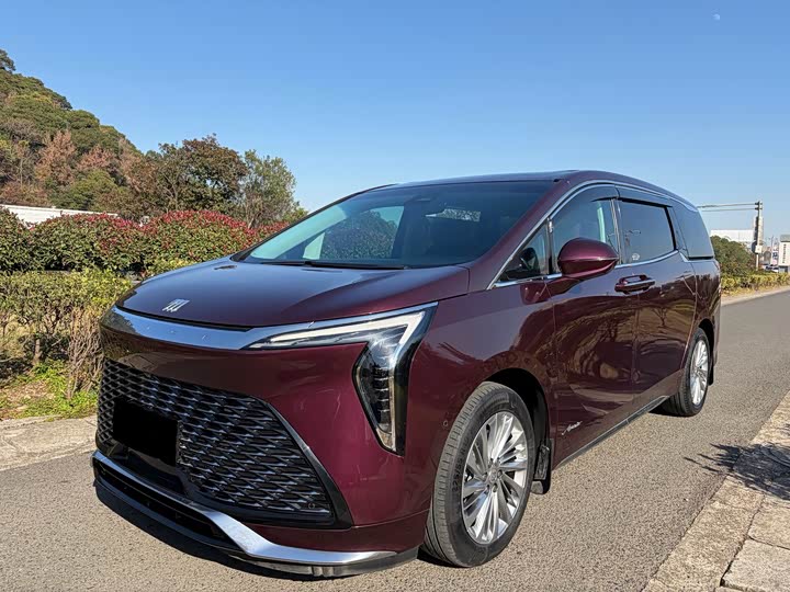 Фото 2 - Buick GL8 Century