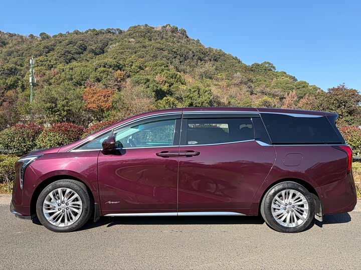 Фото 3 - Buick GL8 Century