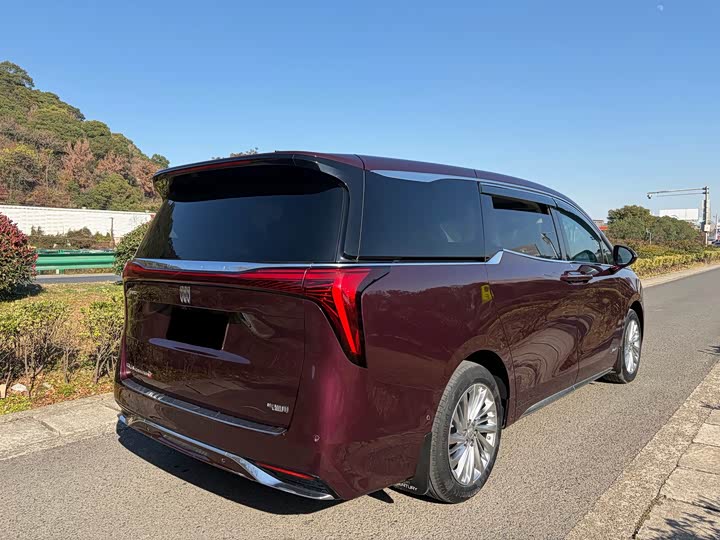 Фото 4 - Buick GL8 Century