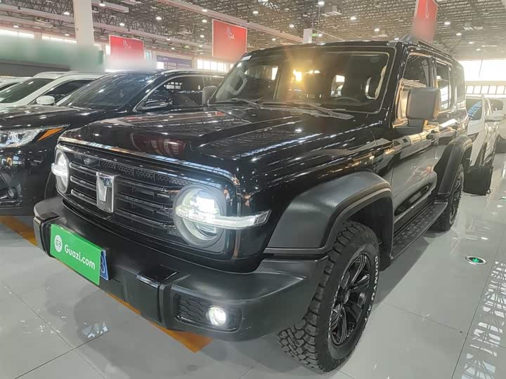 Фото 2 - Tank 300