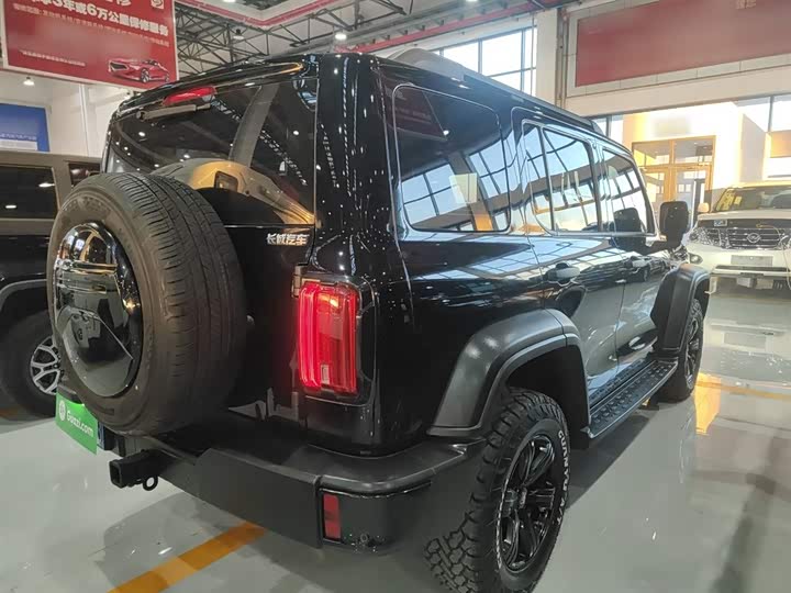 Фото 7 - Tank 300