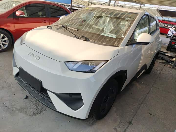 Фото 1 - BYD Seagull