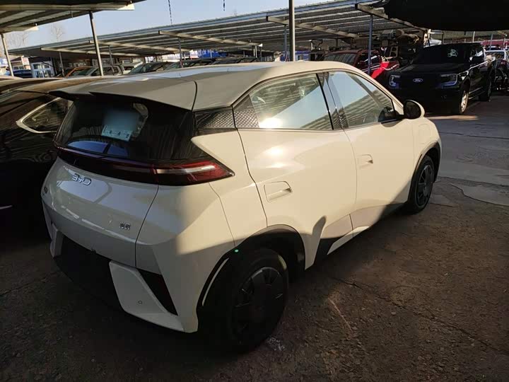 Фото 7 - BYD Seagull