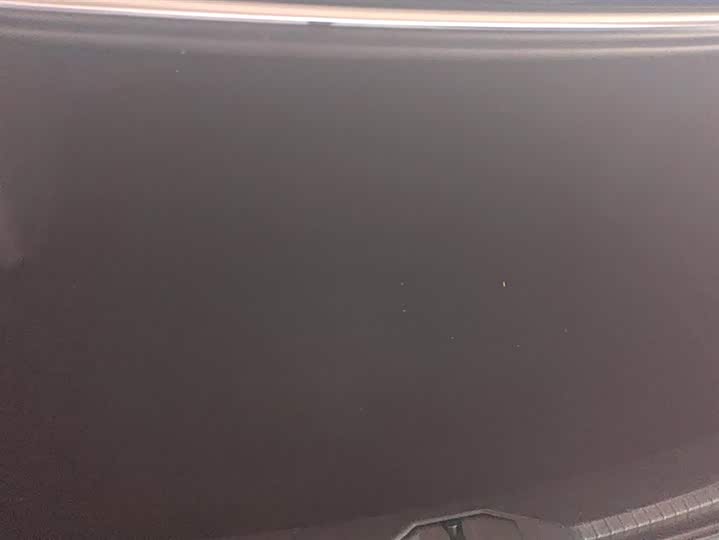 Фото 4 - Volkswagen Lamando L