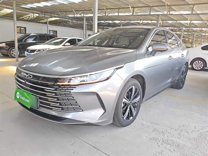 Фото 2 - BYD Destroyer 05