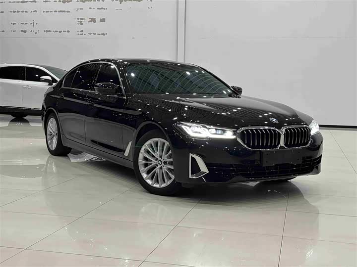 Фото 2 - BMW 5 Series Hybrid