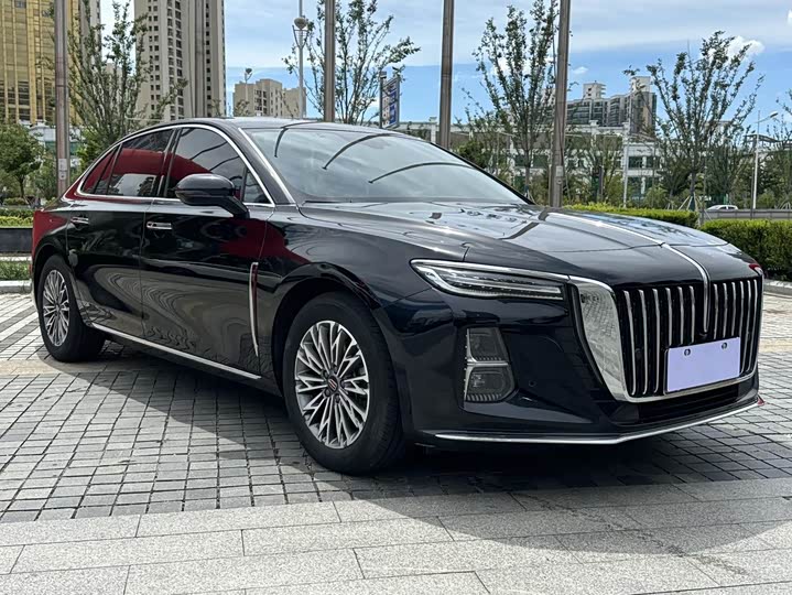 Фото 3 - Hongqi H5