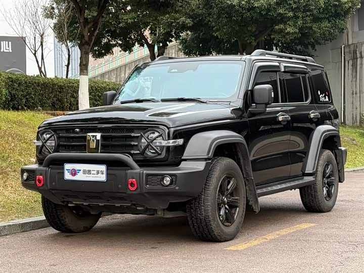 Фото 1 - Tank 300