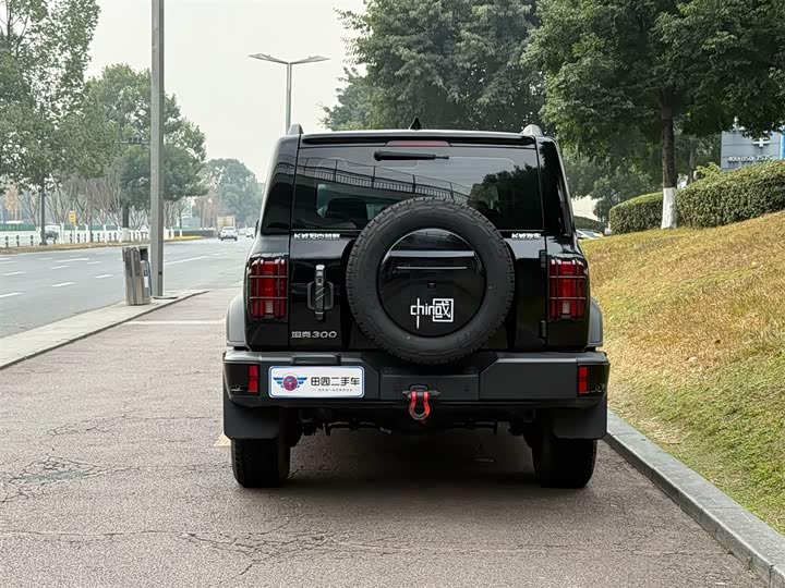 Фото 5 - Tank 300