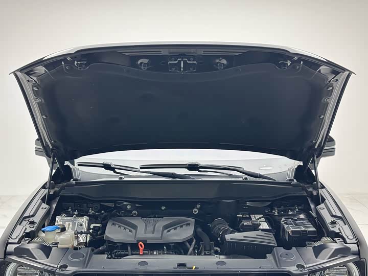 Фото 3 - Haval Dargo