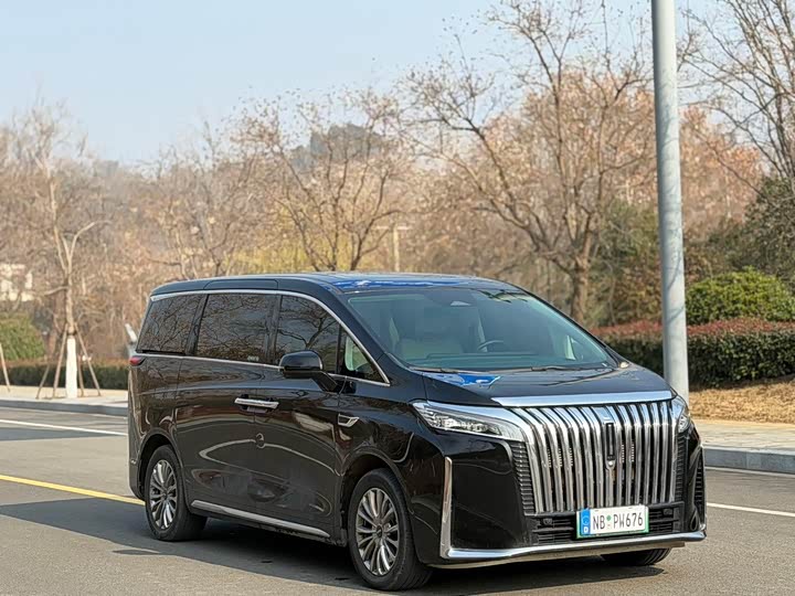 Фото 3 - Wey Gaoshan