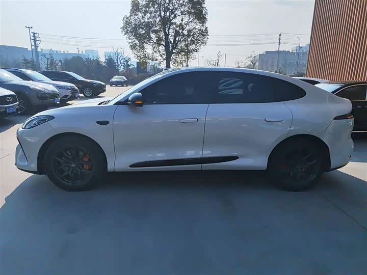 Фото 5 - IM motors LS6