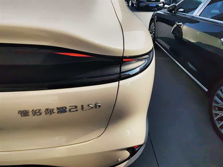 Фото 8 - IM motors LS6