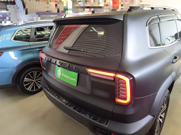 Фото 6 - Haval Dargo