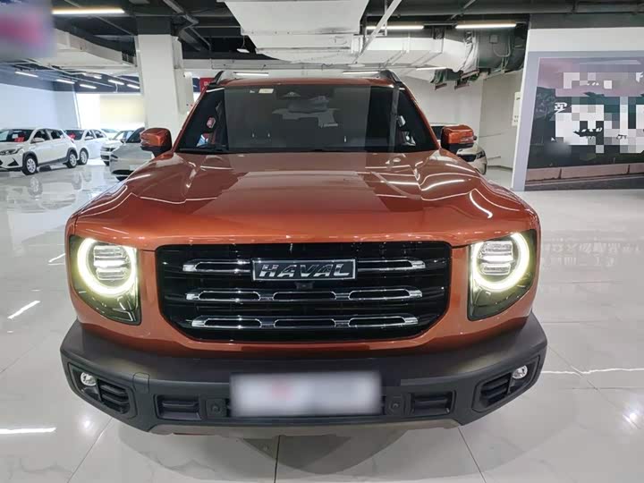 Фото 3 - Haval Dargo