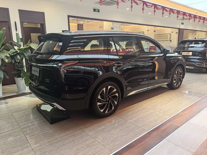 Фото 4 - Hongqi HS7 Hybrid