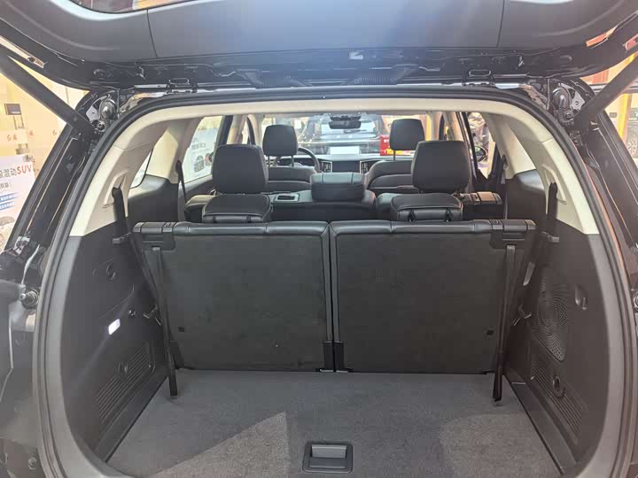 Фото 6 - Hongqi HS7 Hybrid